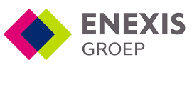 enexis groep jobs in energy